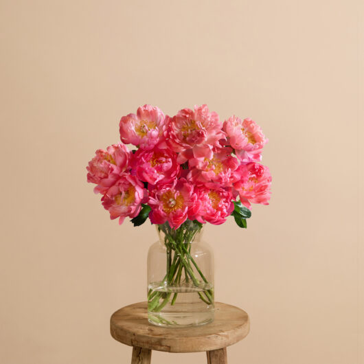 10 peonies Coral Charm flower bouquet | Send flowers online | The Peony Bunch | size: showstopper