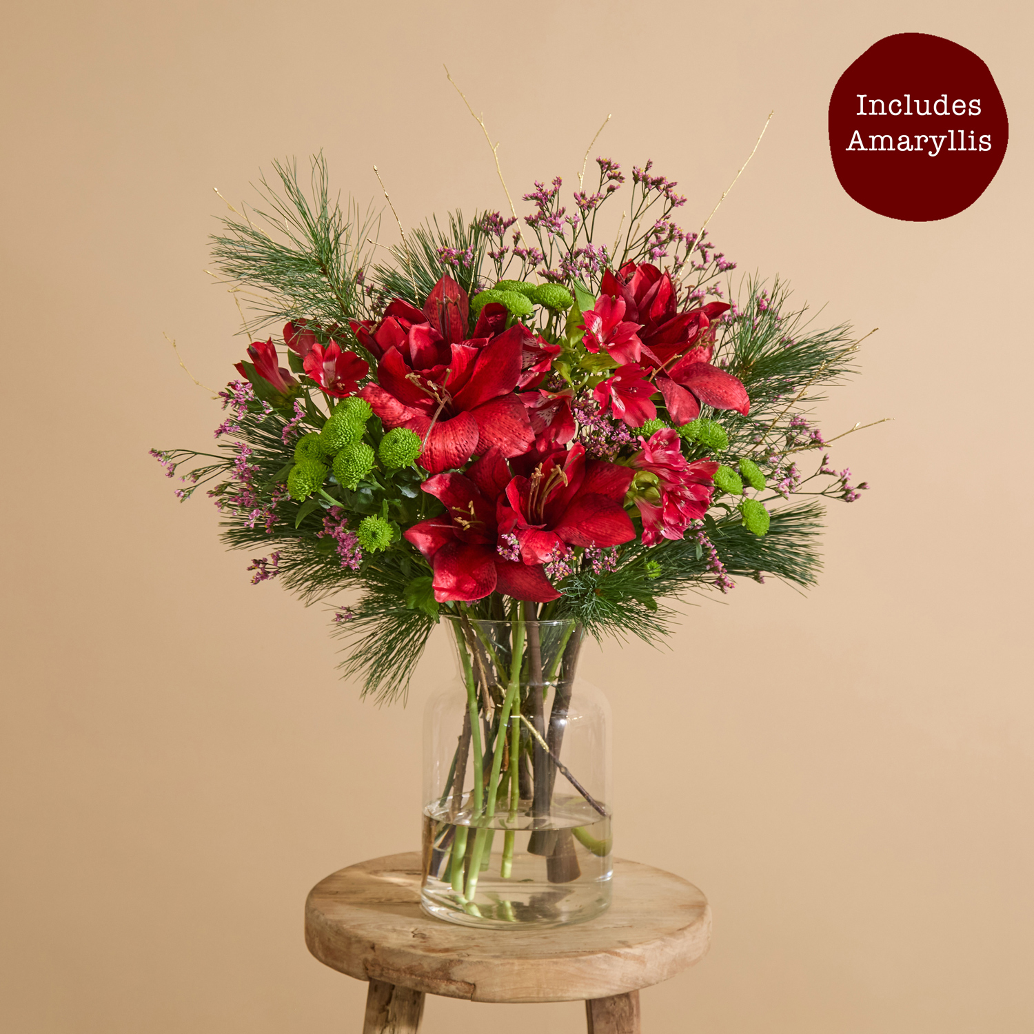 Black Friday Red amaryllis flower bouquet with alstroemeria and santini | Send flowers online | Lines from a Sonnet | size: classic