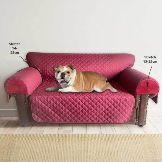 Easylife Fitted Sofa Protector -Armchair in Brown