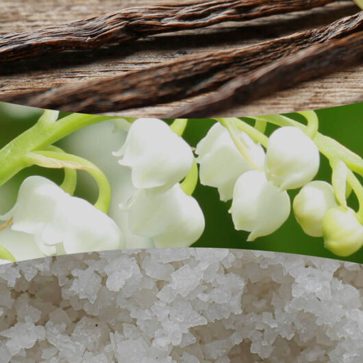 Vanilla and Sea Salt